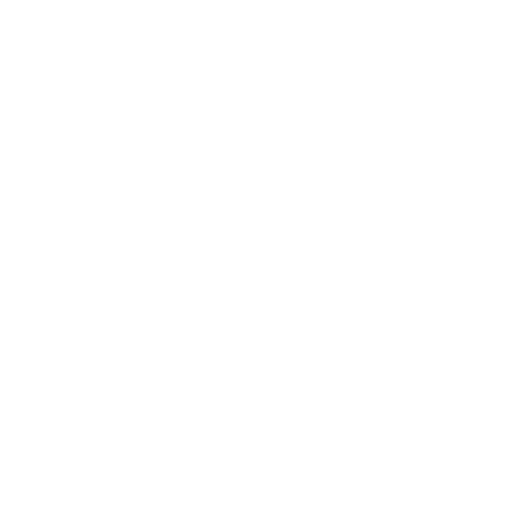 EasyBelt